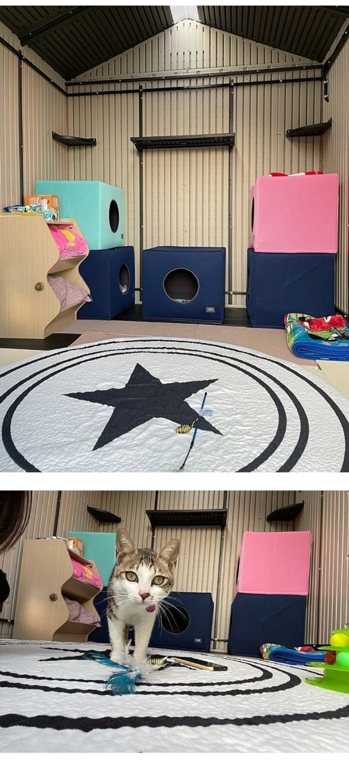 경남의 한 아파트의 길고양이 집.jpg | 인스티즈