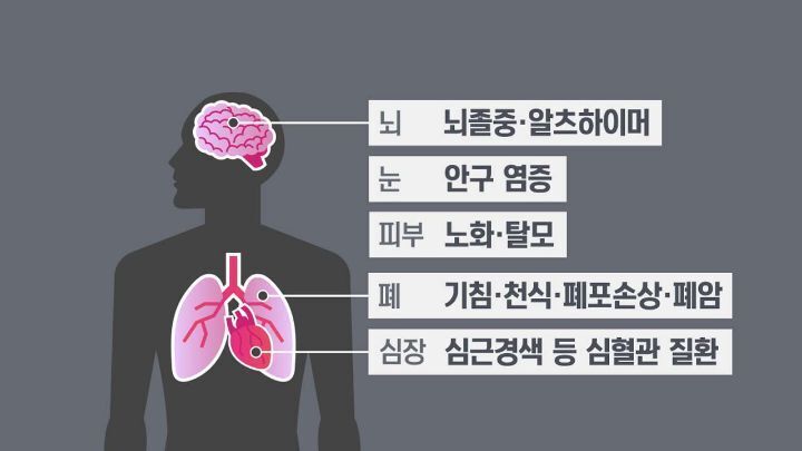 미세먼지가 건강에 미치는 영향 | 인스티즈