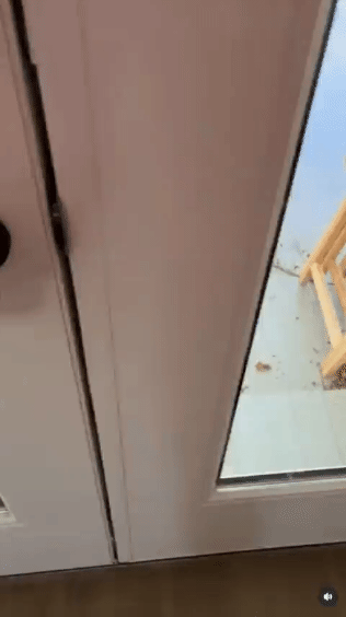 본인도 재밌게 놀다가온 걸 아는 댕댕이.gif | 인스티즈