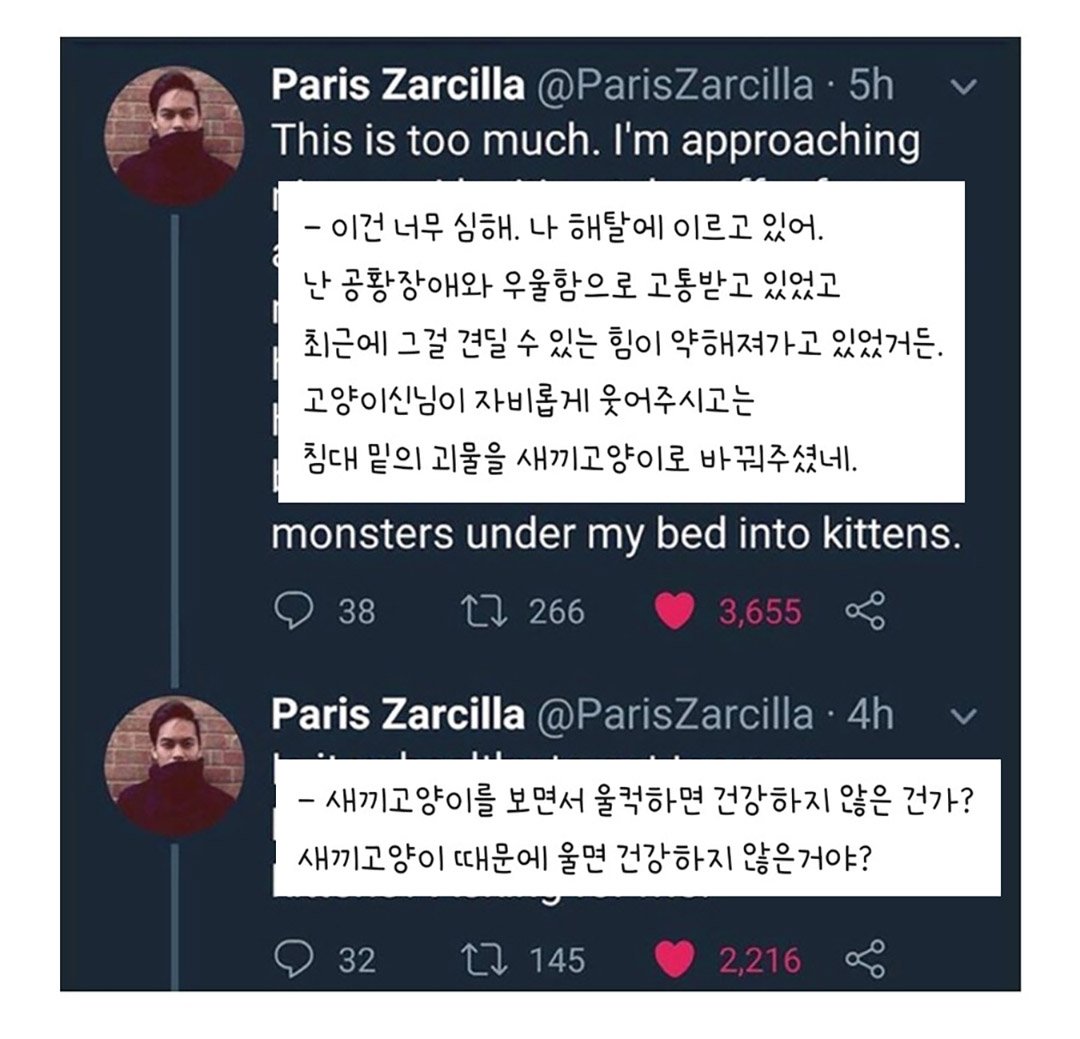 우울증 걸린 사람집에 고양이가 들어옴 | 인스티즈