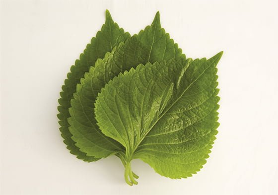 하루만에 알바 짤린 23살 알바녀.JPG | 인스티즈