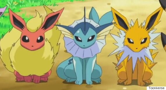 한국의 이브이 세쌍둥이 자매 | 인스티즈