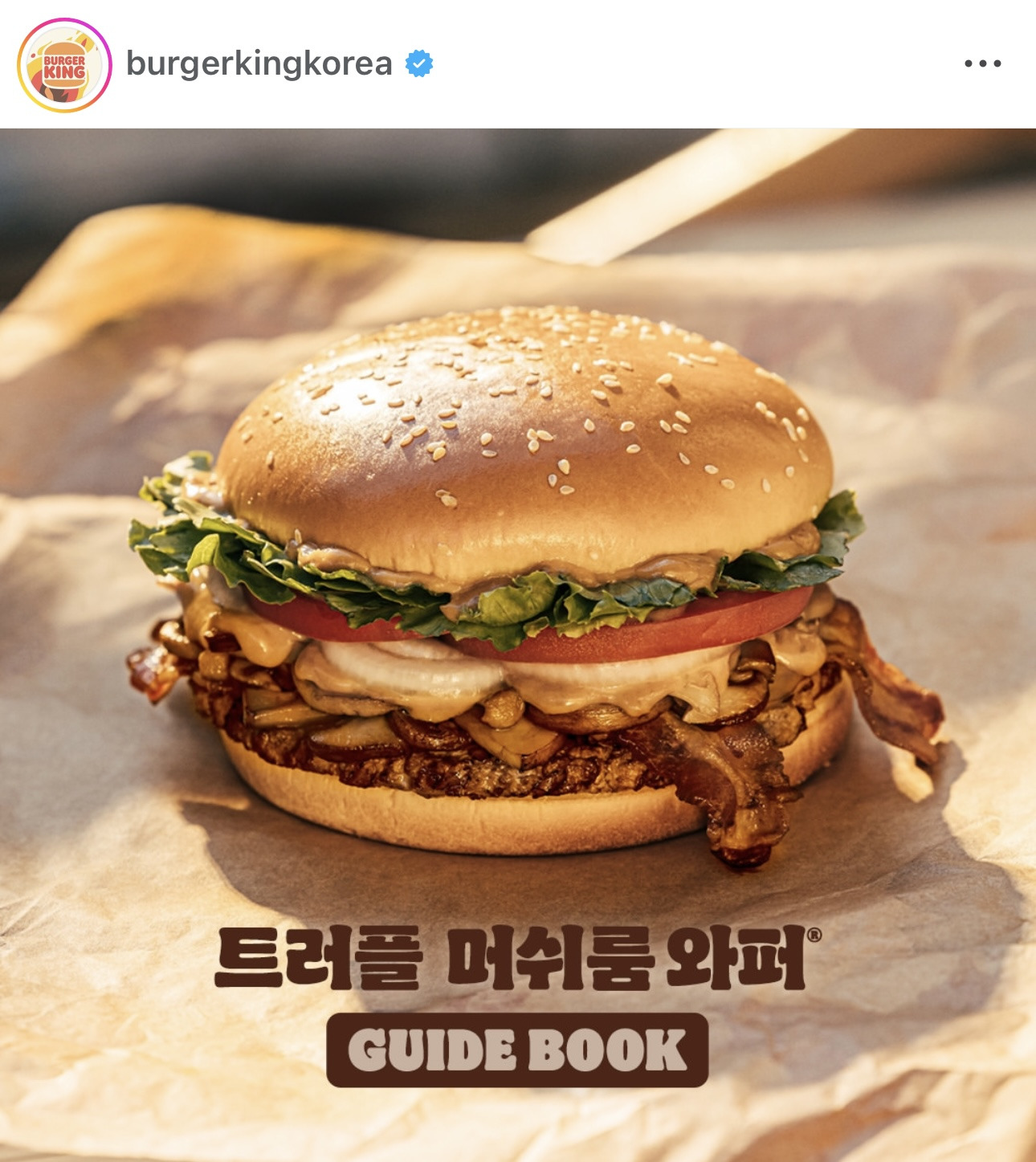 머쉬룸 이미지