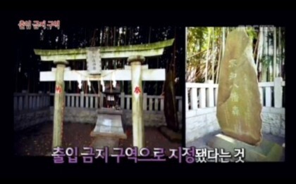 미스테리한 일본의 출입금지된 도심 한복판의 숲 | 인스티즈