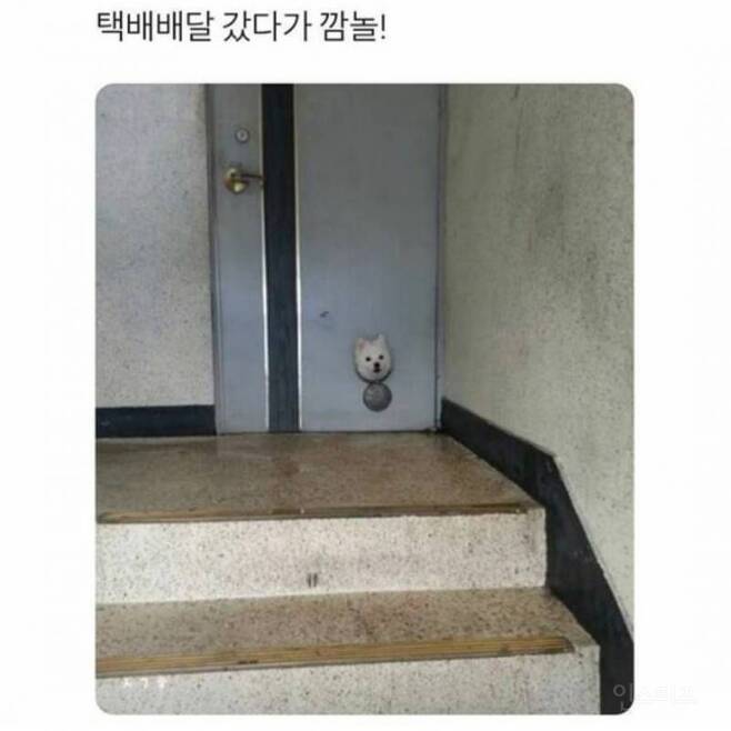 택배 배달 갔다가 놀라신 기사아저씨 | 인스티즈