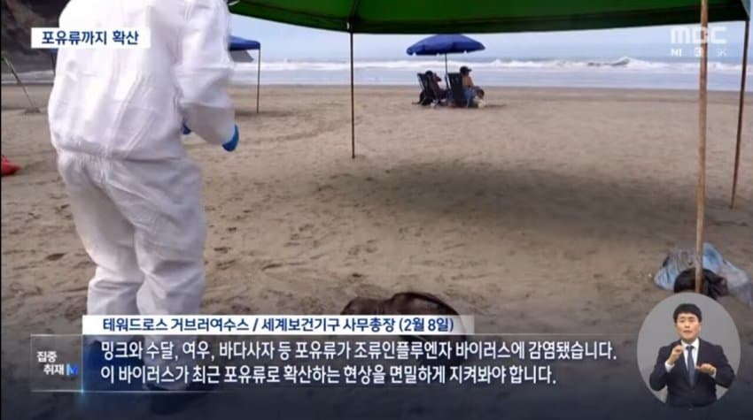 현재 전 세계로 퍼지고 있는 조류 독감.jpg | 인스티즈
