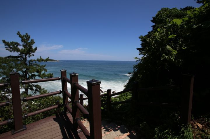 의외로 우리나라에 있는 것.jpg | 인스티즈