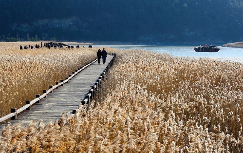 b1a49ecb0a15f083721ddb35b262a2032c3f932d