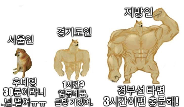 의외로 약한 서울사람 | 인스티즈