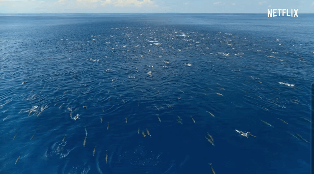 스포) 우영우 전개 이제 무서워질 이유 | 인스티즈