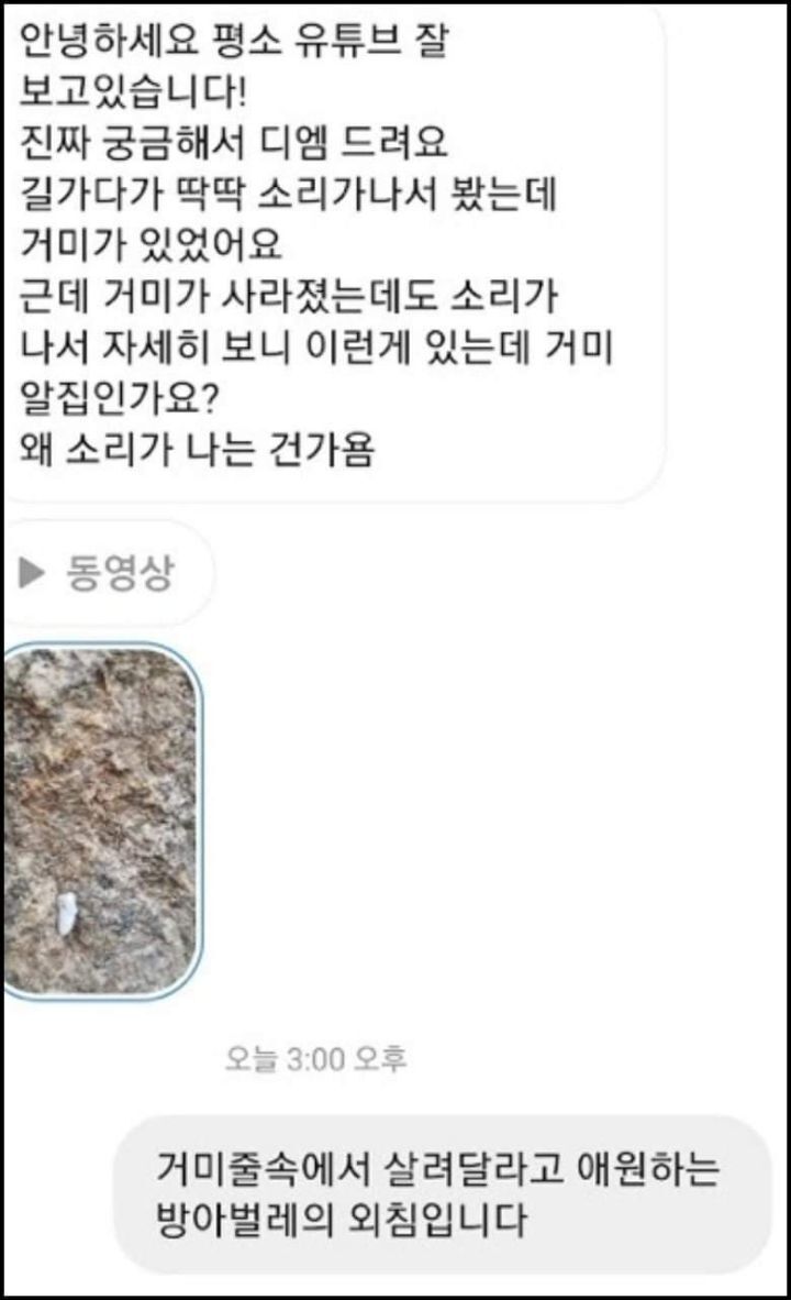 모르는게 없는 유튜버ㅋㅋㅋㅋㅋㅋ.jpg | 인스티즈