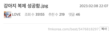 강아지 복제 성공함.jpg | 인스티즈