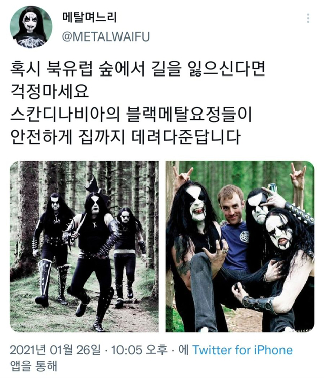 북유럽 숲에서 길 잃어버려도 괜찮은 이유 | 인스티즈