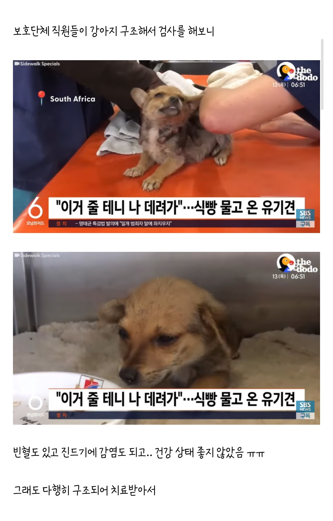 온:식빵 이미지