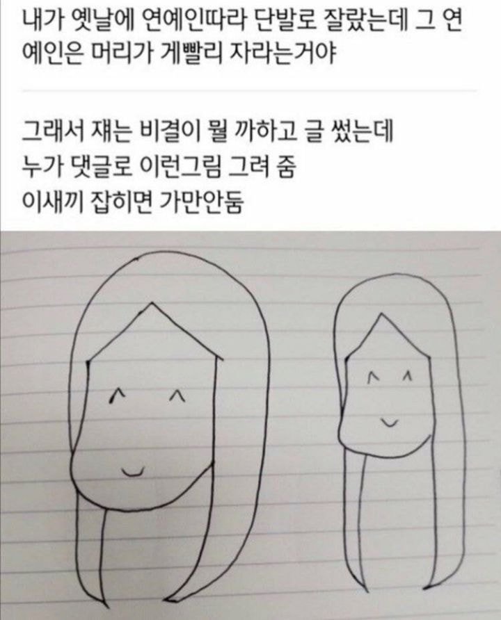 연예인은 머리가 빨리 자라는 이유.jpg | 인스티즈
