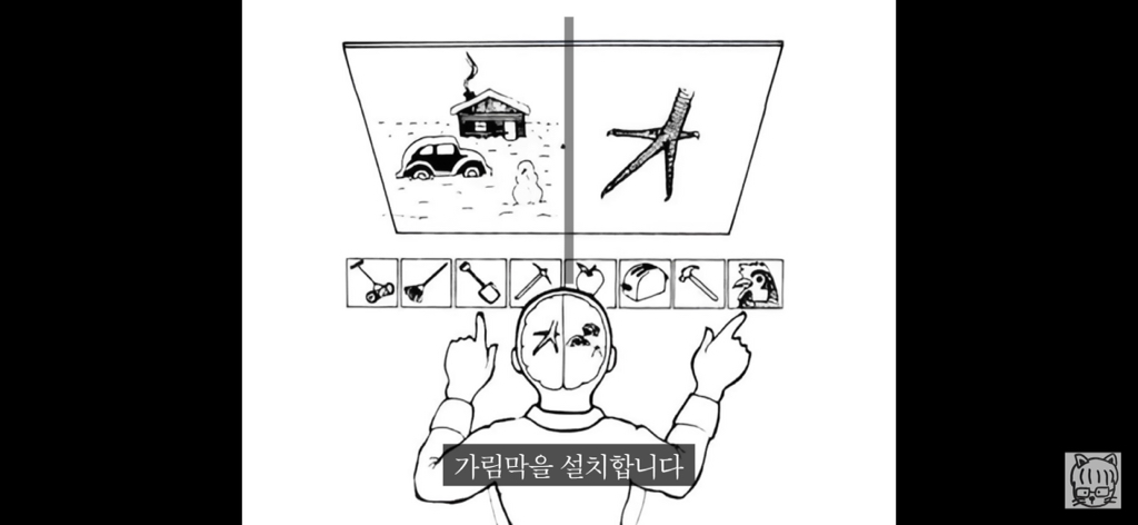 (스압)분리 뇌 실험 | 인스티즈