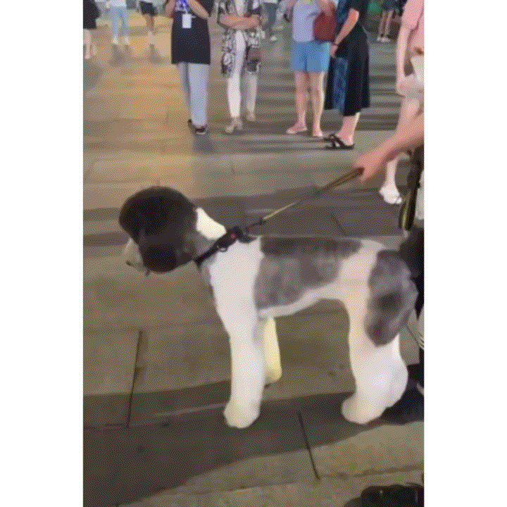 서로의 크기에 놀라는중.......gif | 인스티즈