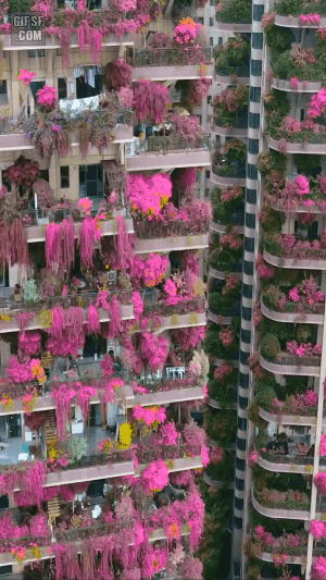 하늘정원 아파트 | 인스티즈