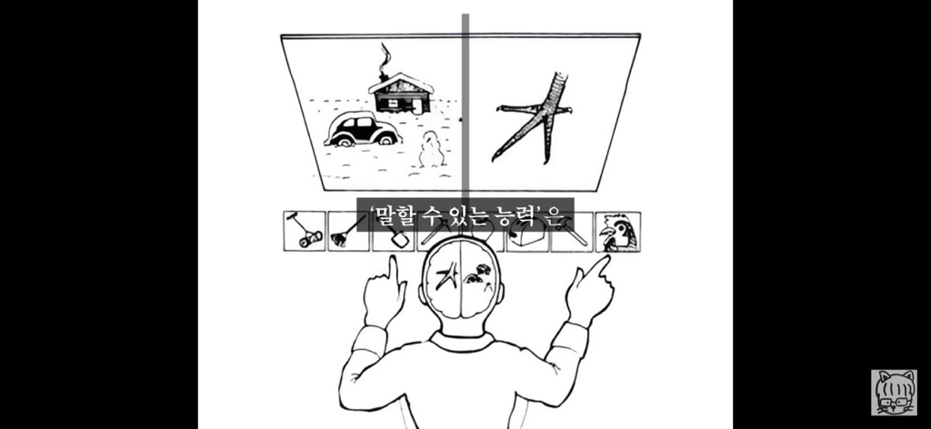 (스압)분리 뇌 실험 | 인스티즈