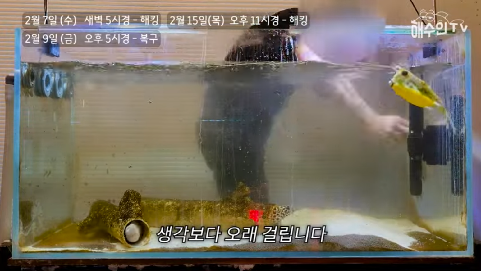 유튜브 계정이 3번이나 해킹 당한 이유 | 인스티즈