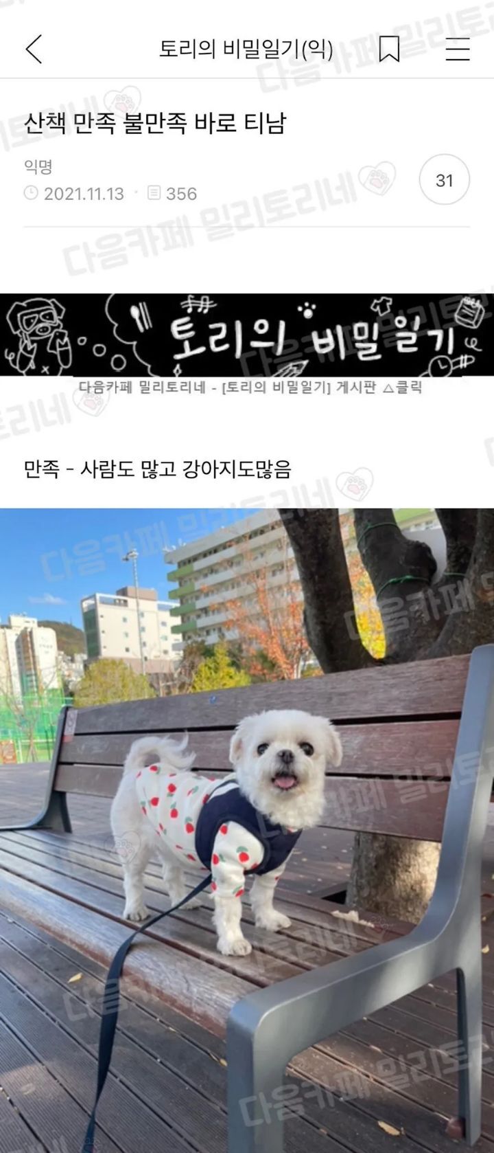 산책 만족 불만족 바로 티남 | 인스티즈