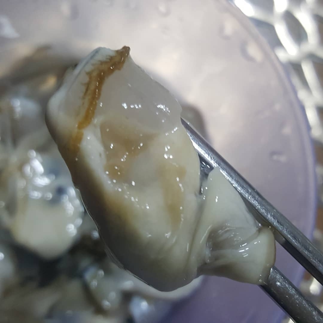 생으로 도저히 못먹겠다는 사람이 많은 음식.......jpg | 인스티즈