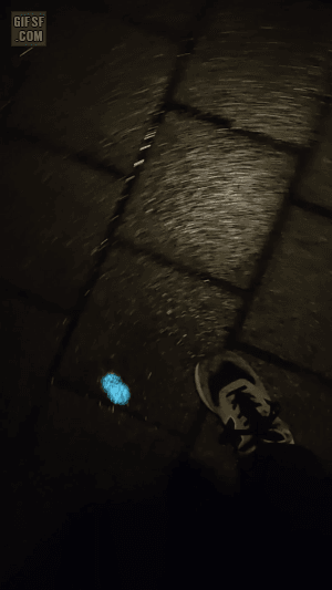 가로등 근황 | 인스티즈