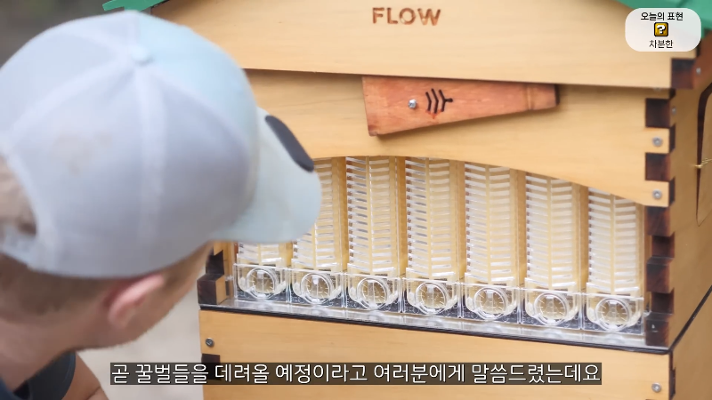 양봉 시작한 올리버쌤 근황.jpg | 인스티즈