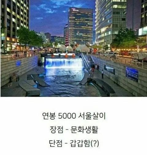 연봉 5천 서울살이vs연봉 7천 제주살이 | 인스티즈