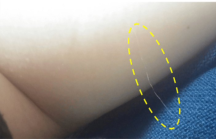 b48893a2763930de6bb3072ffe2e171824c9eea3