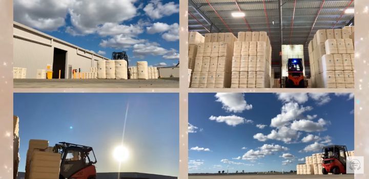 만 19살, 호주 워홀 가서 지게차로 월 500 번 유튜버 | 인스티즈