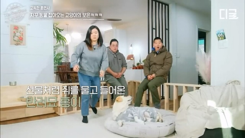 개랑 고양이 같이 키우는 집에서 방송하다 사고나서 깜짝 놀란 강형욱 | 인스티즈