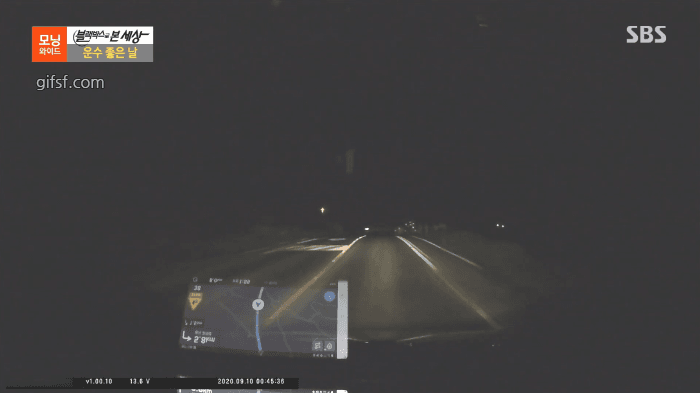 고양이 잡아가는 수리부엉이 | 인스티즈