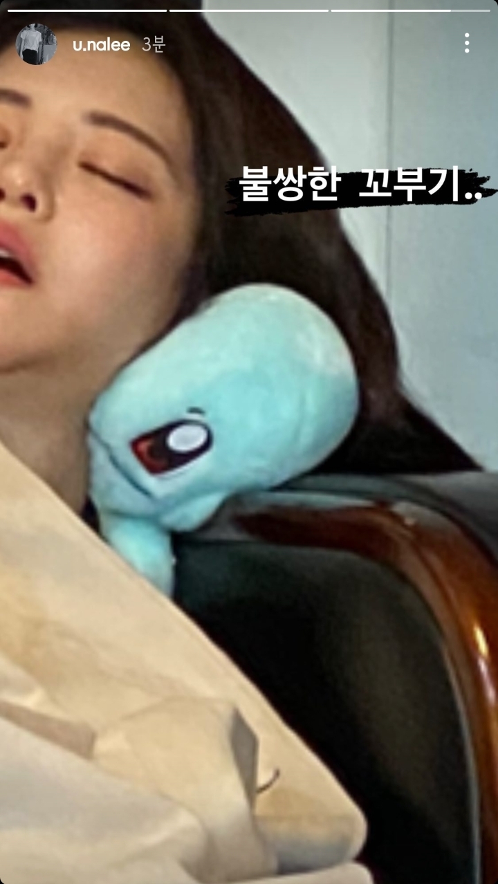 잠든 꼬북좌 | 인스티즈