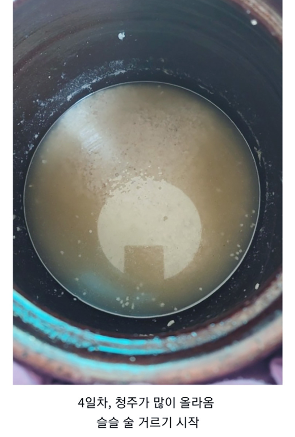 집에서 전통 방식으로 만드는 소주 결말 | 인스티즈