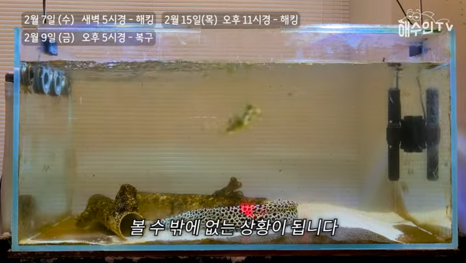 유튜브 계정이 3번이나 해킹 당한 이유 | 인스티즈