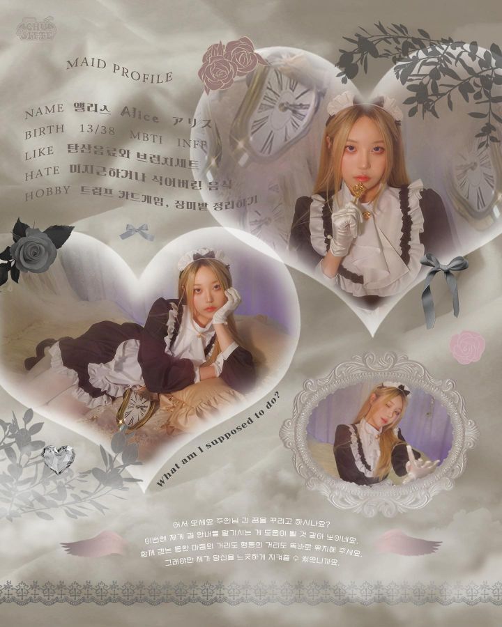 연남동 메이드 카페 다녀온 사람 후기 | 인스티즈