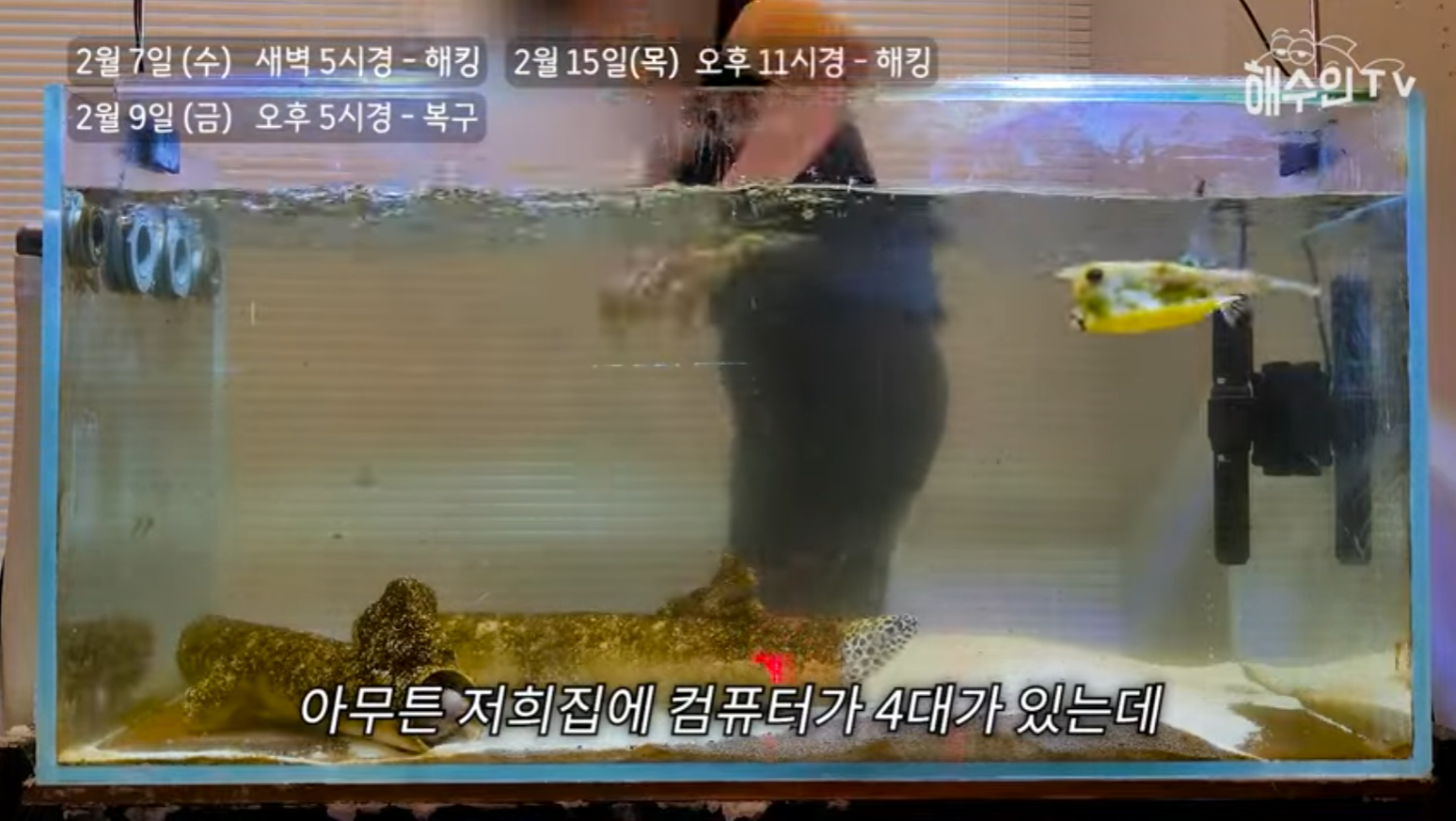 유튜브 계정이 3번이나 해킹 당한 이유 | 인스티즈