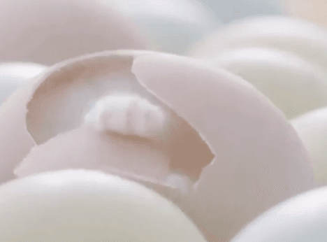 많은 사람들이 모르는 고양이 탄생 장면 | 인스티즈