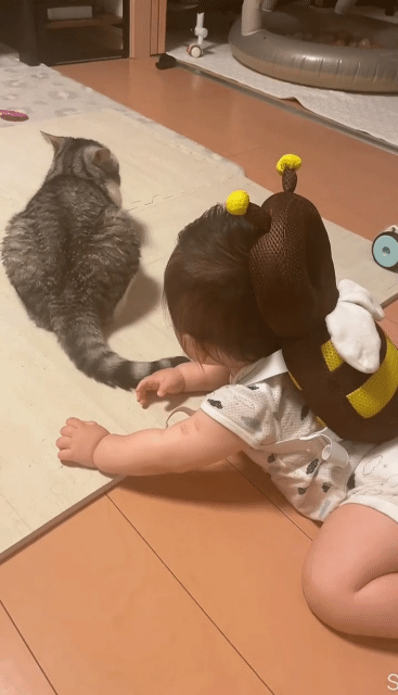 아가는 봐준다... | 인스티즈