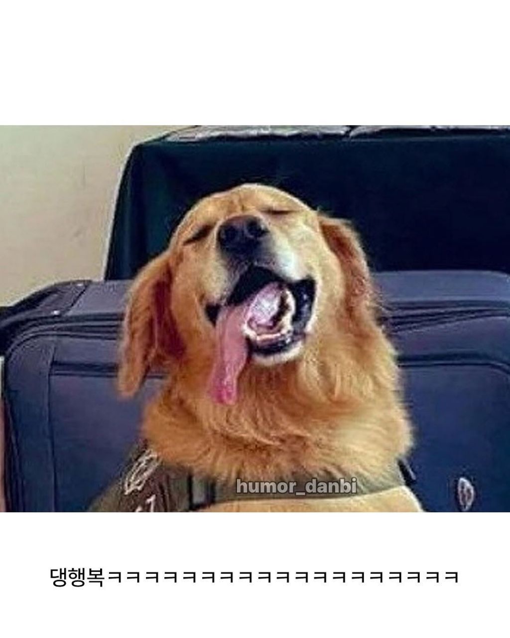 의외로 사내복지 철저한곳 | 인스티즈