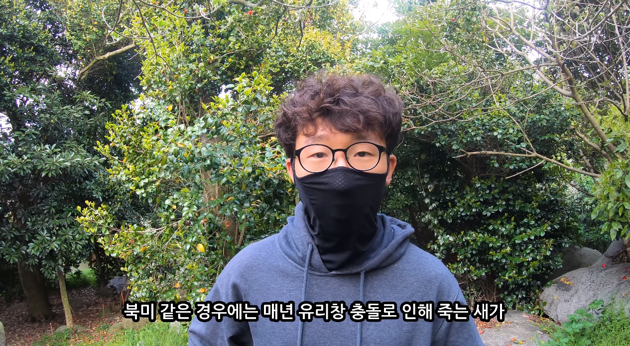 일부 몰지각한 캣맘들은 이 악물고 모른척하는 내용.jpg | 인스티즈