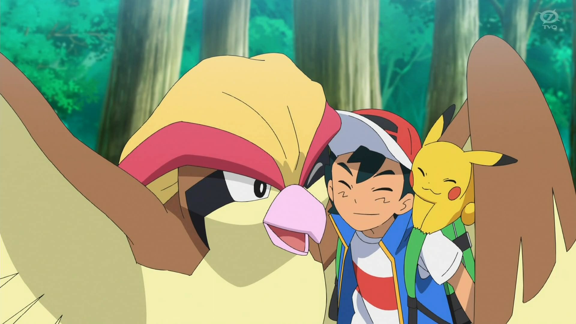 드디어 피존투가 나왔다는 글에 난리난 원피스갤 | 인스티즈