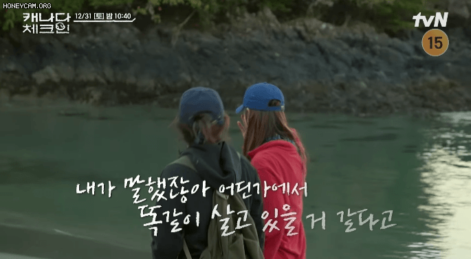 순심이와 똑같이 생긴 강아지를 본 이효리 | 인스티즈