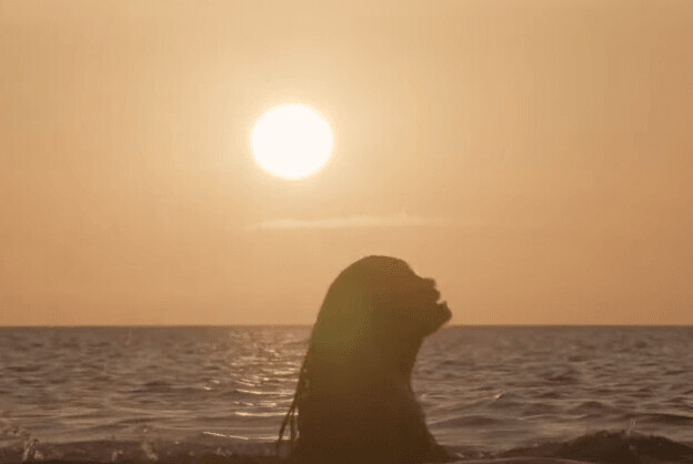 인어공주 애니판과 실사판 | 인스티즈