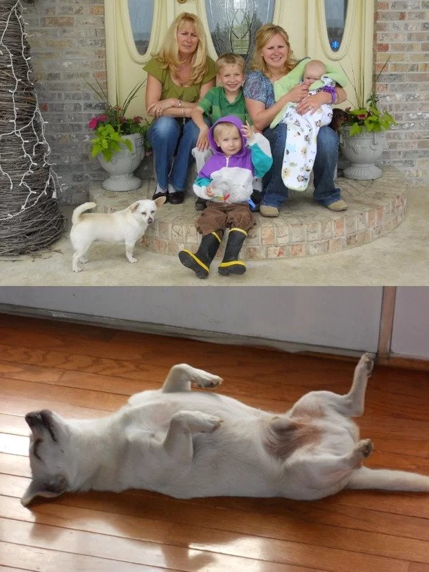 b6f44ddcdac058fa7848ce700ed3bb55845a1d27