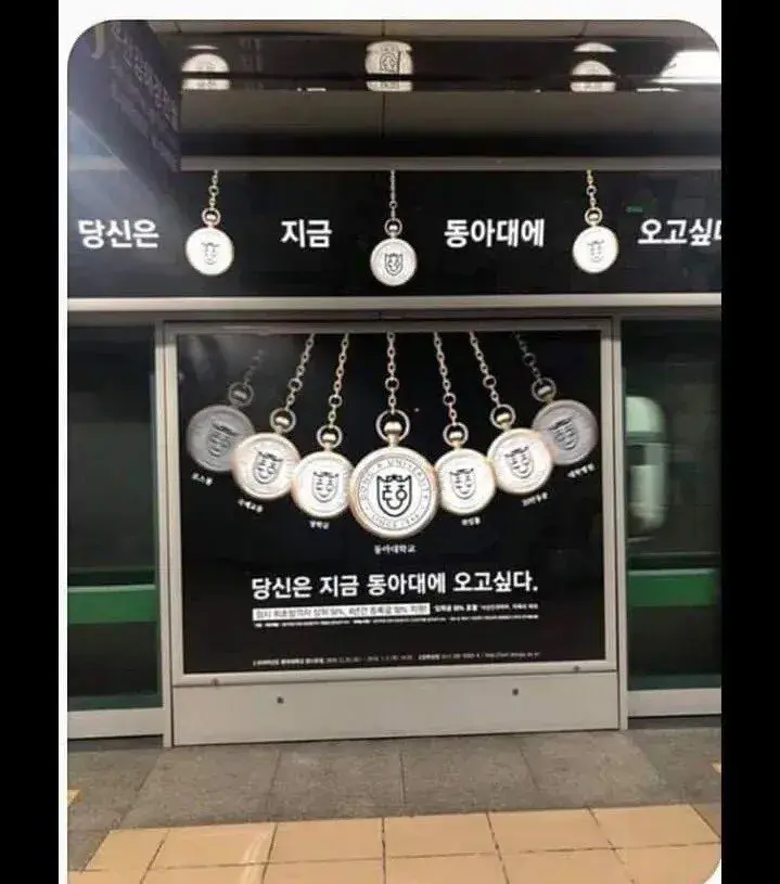 특이점이 온 대학교 홍보.jpg | 인스티즈