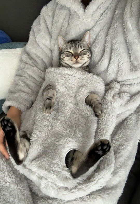 일본에서 팔고있다는 입는 담요 | 인스티즈