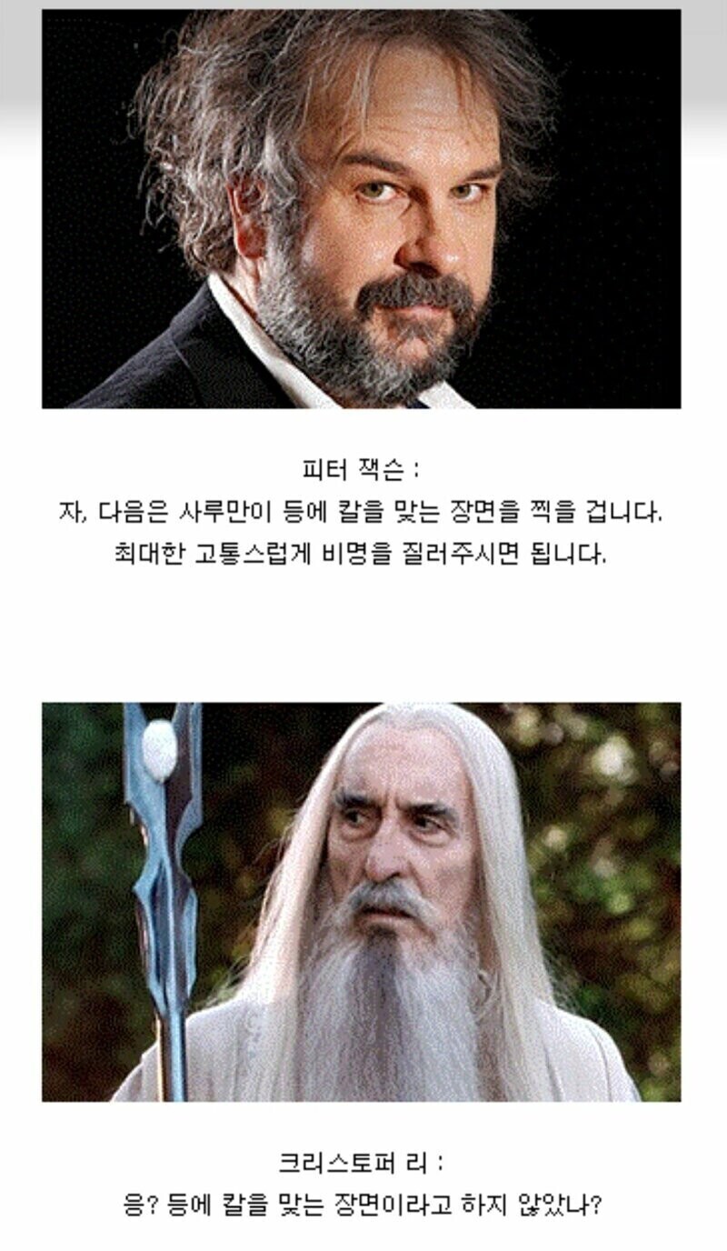 칼에 찔려도 비명을 못지르는 이유.jpg | 인스티즈