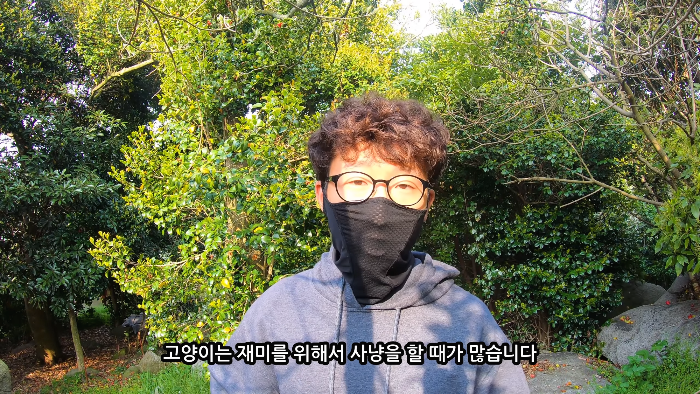 [사진100장스압] 고양이가 자연생태계에 끼치는 심각한 영향 | 인스티즈